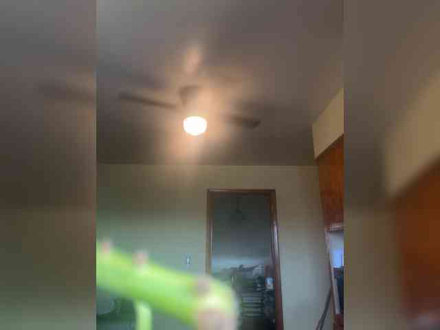 UsUnleashed88 UsUnleashed88