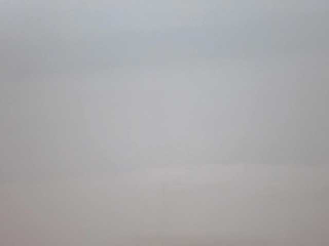 Blush-beauty live room