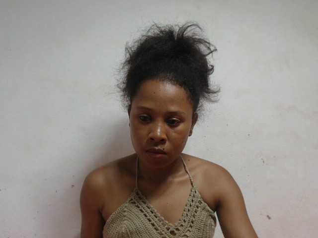 Preview of anitaquin