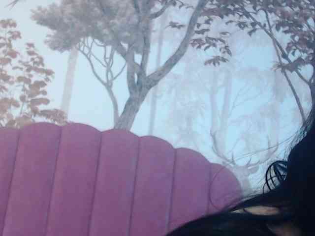 LenaCorbet LenaCorbet