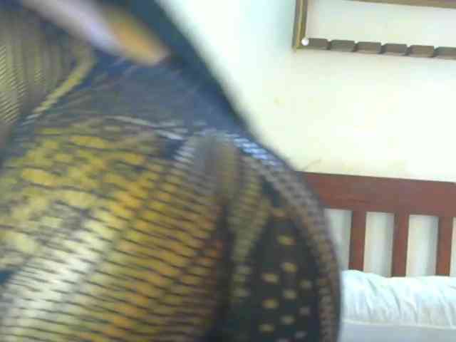 Sexylavinnn Sexylavinnn