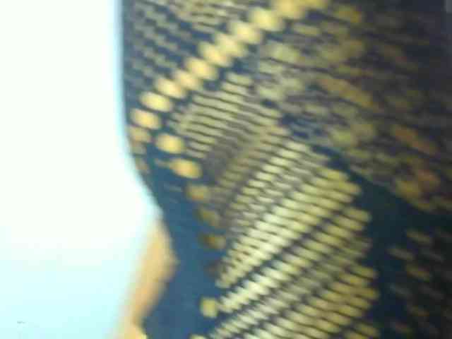 Sexylavinnn Sexylavinnn