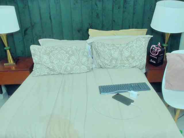 BlakeAndAllisa webcam