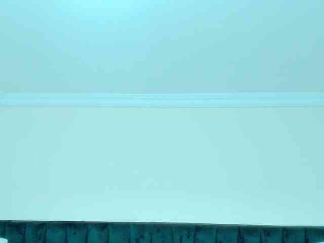 BlakeAndAllisa webcam