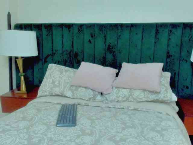 BlakeAndAllisa webcam