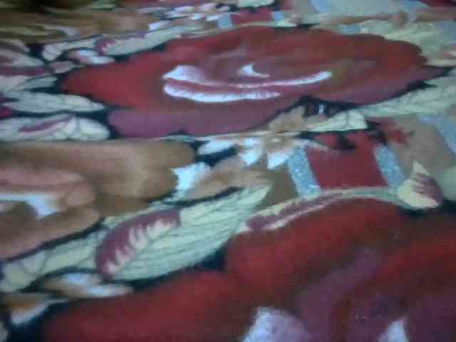 Midiosa229 Midiosa229