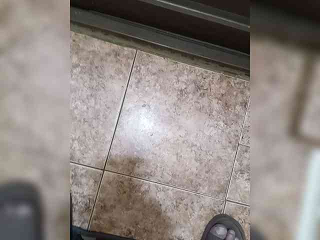 Kos50-1 Live Webcam on BongaCams