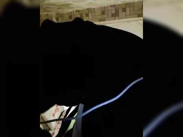 ASGARDEC111 ASGARDEC111