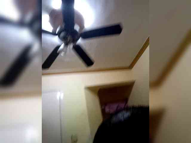 JulietayRomeo webcam