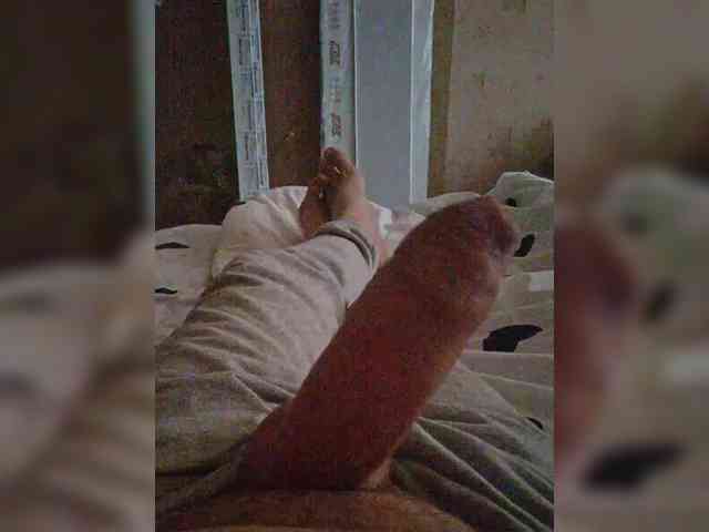 Alex111282 Alex111282