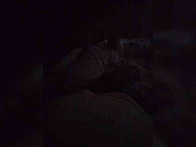 Alex111282 Alex111282