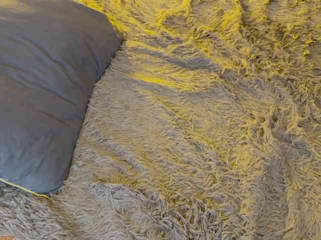 JacqulineHiltebeitel