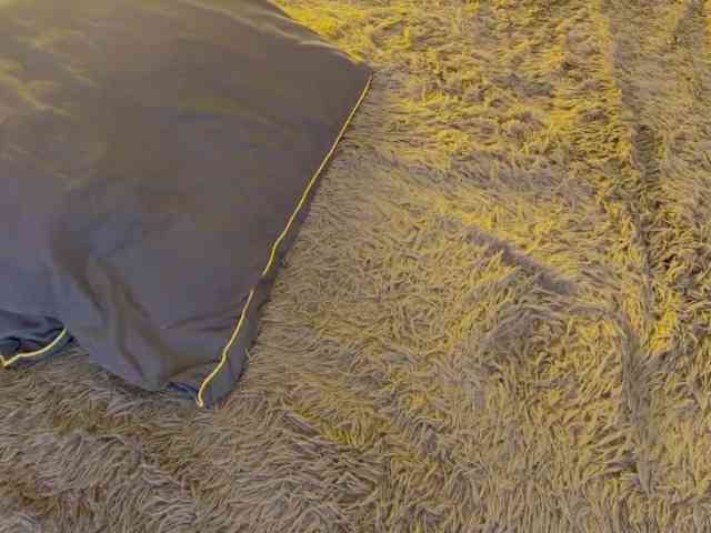 JacqulineHiltebeitel webcam