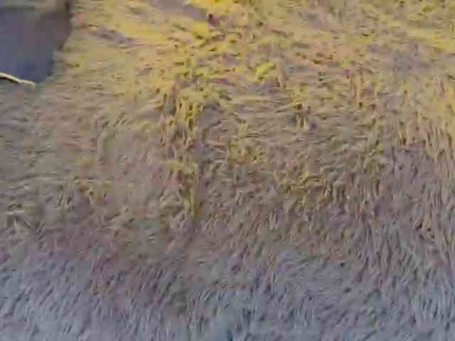 JacqulineHiltebeitel webcam