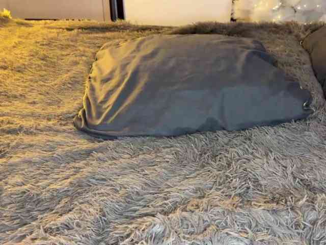 JacqulineHiltebeitel JacqulineHiltebeitel