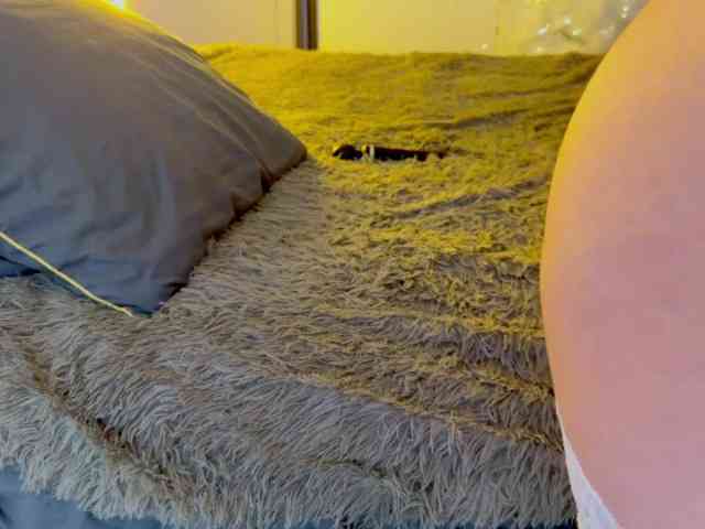 JacqulineHiltebeitel webcam