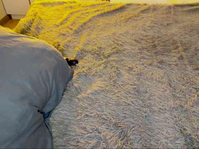 JacqulineHiltebeitel webcam