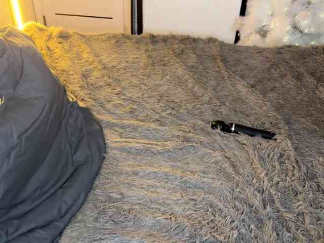 JacqulineHiltebeitel webcam