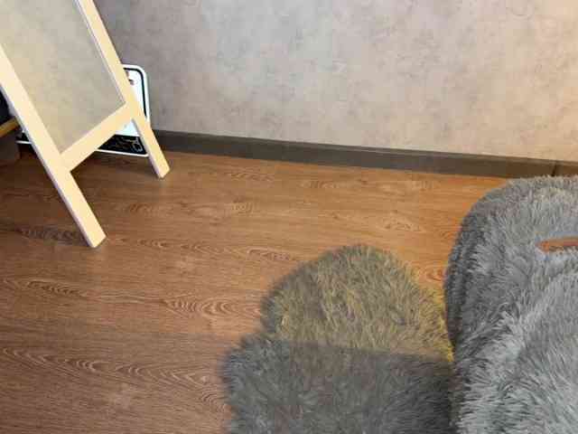 JacqulineHiltebeitel JacqulineHiltebeitel