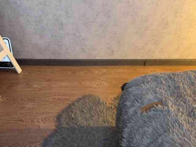 JacqulineHiltebeitel JacqulineHiltebeitel