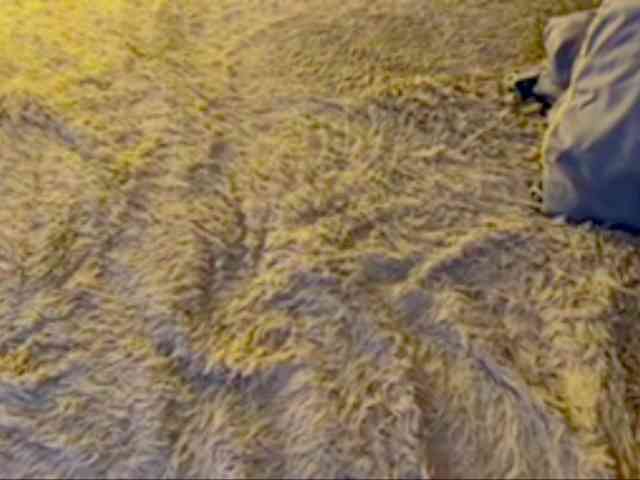 JacqulineHiltebeitel webcam