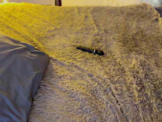 JacqulineHiltebeitel webcam