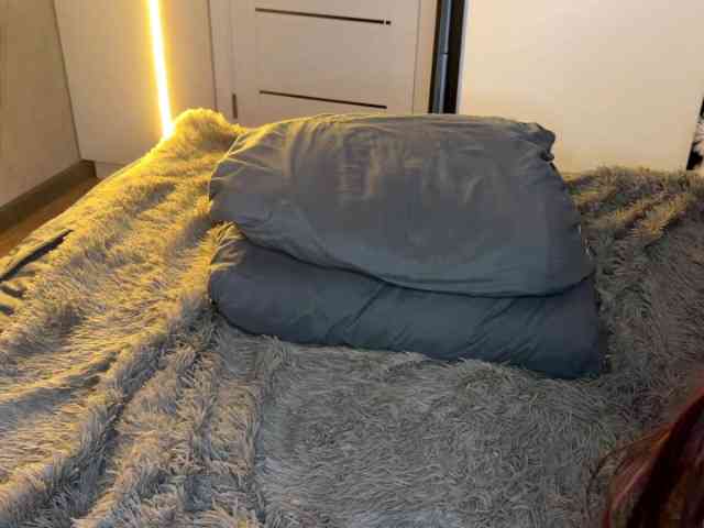 JacqulineHiltebeitel JacqulineHiltebeitel