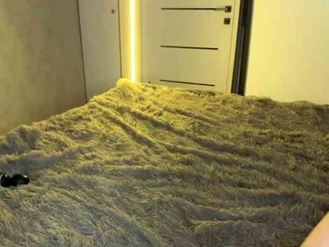 JacqulineHiltebeitel JacqulineHiltebeitel