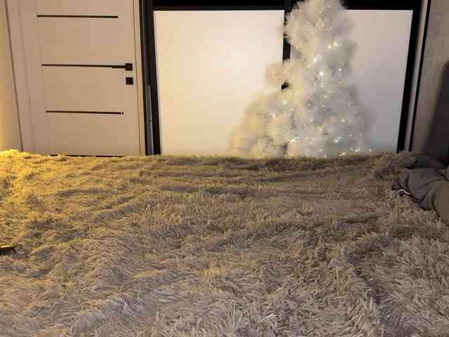 JacqulineHiltebeitel JacqulineHiltebeitel