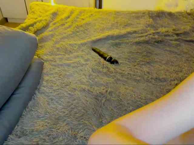 JacqulineHiltebeitel JacqulineHiltebeitel