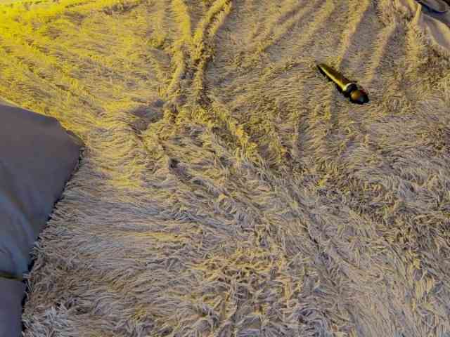 JacqulineHiltebeitel webcam