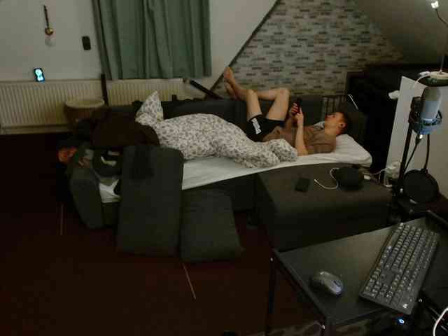 tomtimon11a tomtimon11a