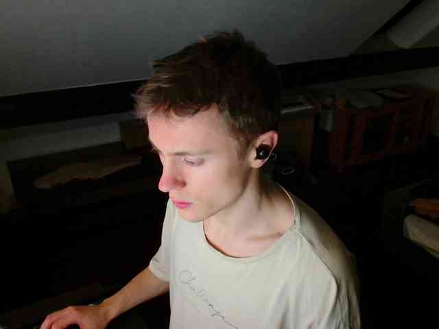 tomtimon11a tomtimon11a