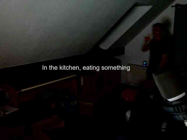 tomtimon11a tomtimon11a