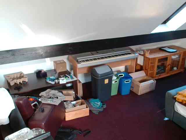 tomtimon11a tomtimon11a