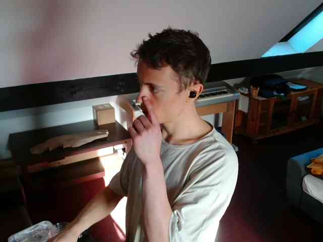 tomtimon11a tomtimon11a