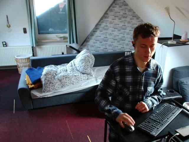 tomtimon11a tomtimon11a