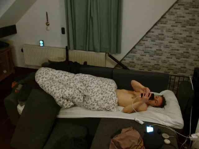 tomtimon11a tomtimon11a