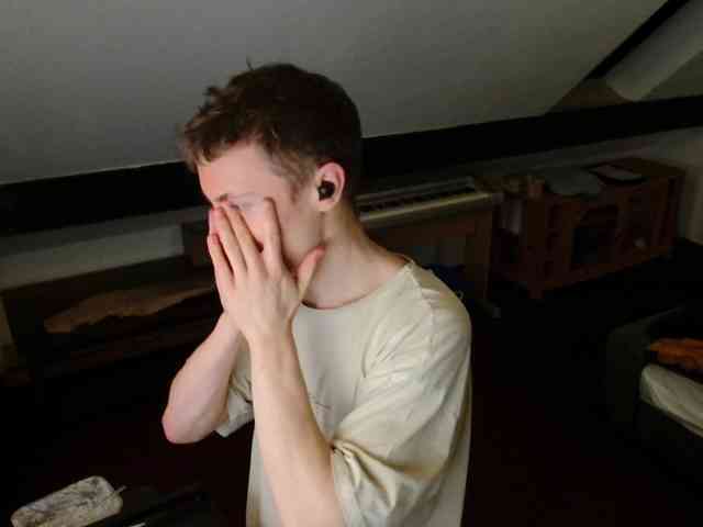 tomtimon11a tomtimon11a