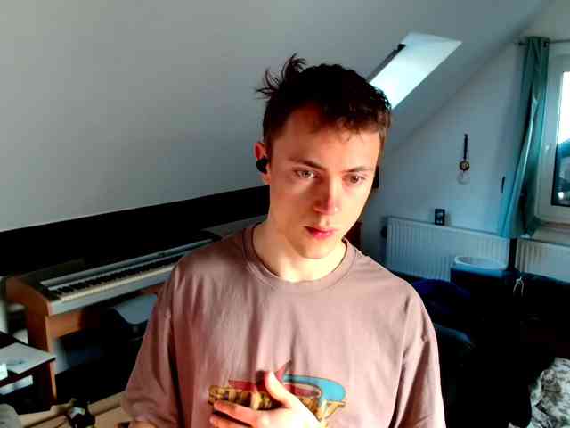 tomtimon11a tomtimon11a