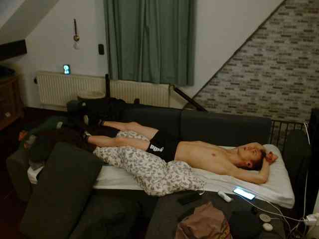 tomtimon11a tomtimon11a