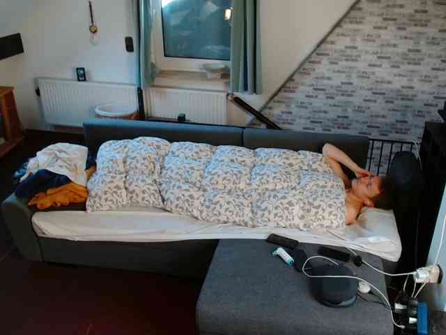 tomtimon11a tomtimon11a