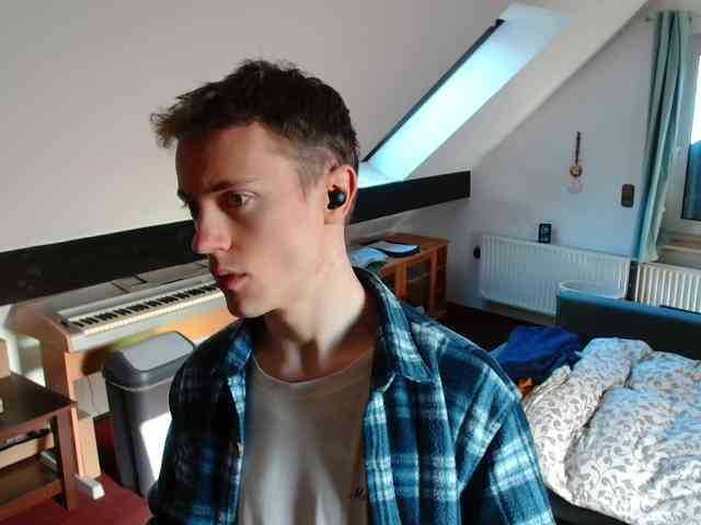 tomtimon11a tomtimon11a