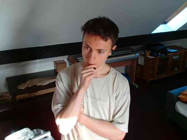 tomtimon11a tomtimon11a