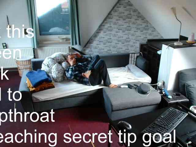 tomtimon11a tomtimon11a