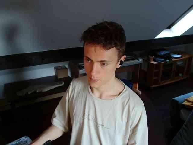 tomtimon11a tomtimon11a