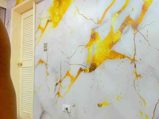 SauvagesDreams webcam