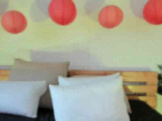 afrodita-sp afrodita-sp