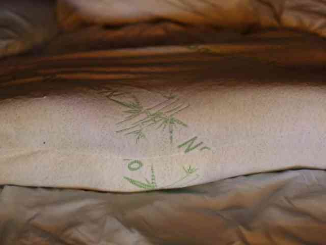 VivyGaulterio VivyGaulterio