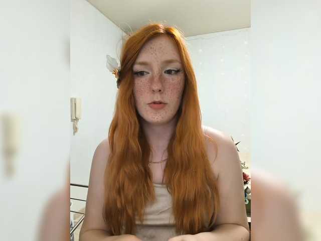 AmaryllisFox webcam